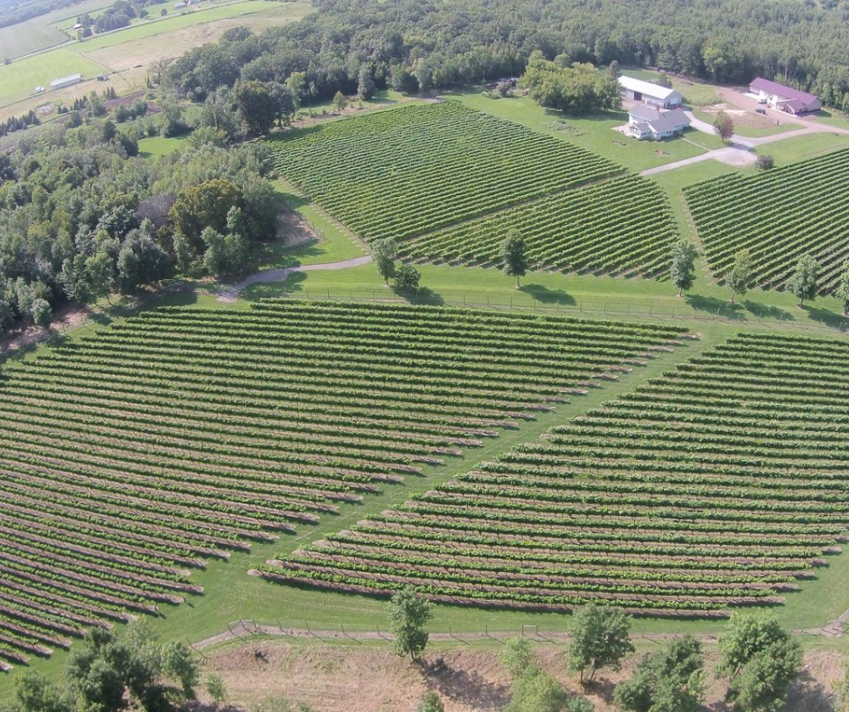 winery